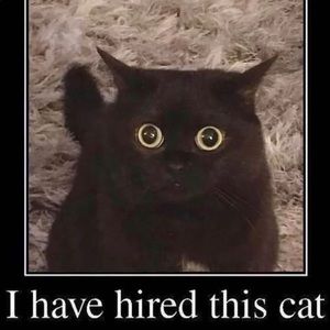 Meet your Posher, Misael